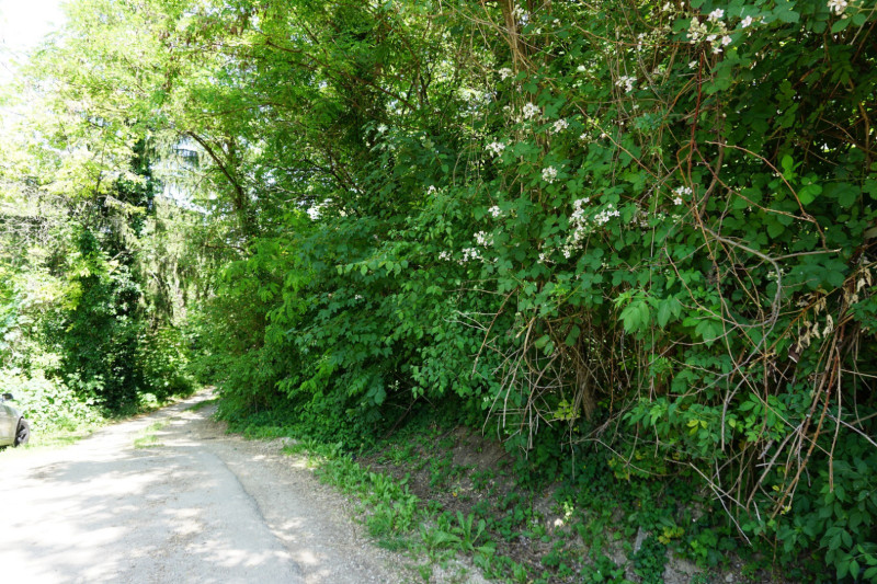 Miskolc-Tapolca, Kiss József utca