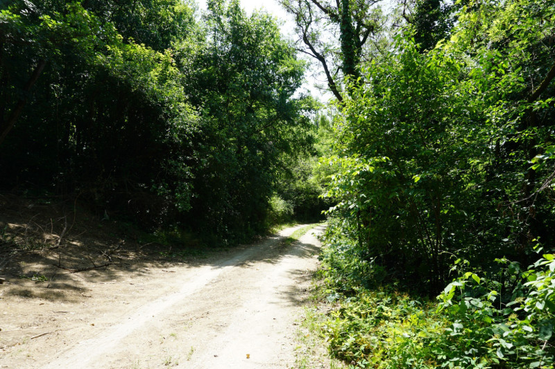 Miskolc-Tapolca, Kiss József utca