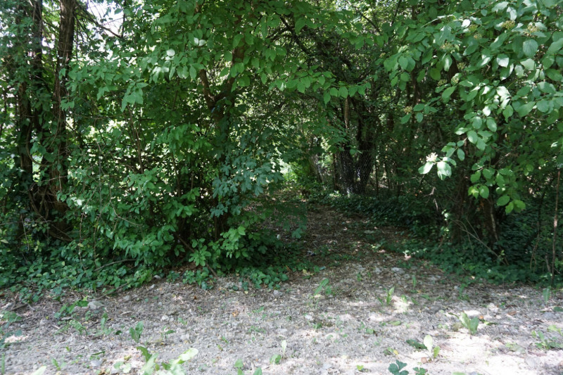 Miskolc-Tapolca, Kiss József utca