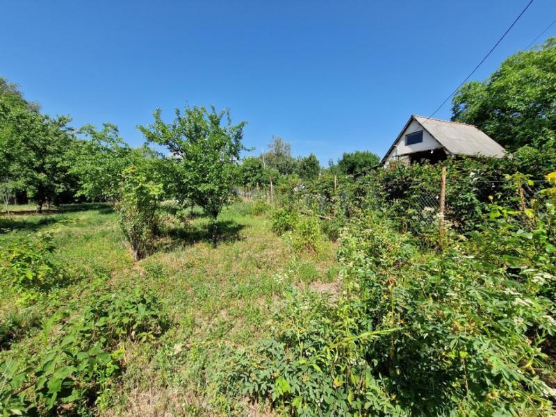 Miskolc, Veréb utca