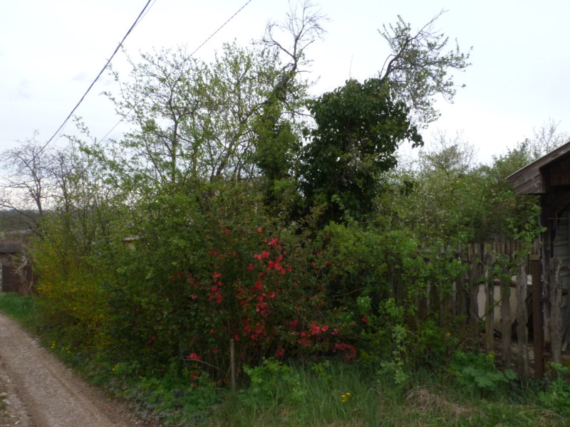 Miskolc Rézműves u. 25.