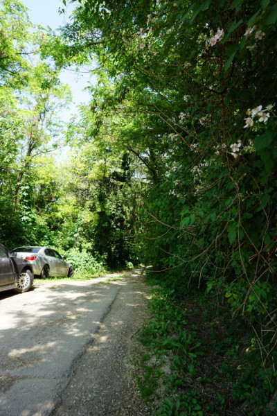 Miskolc-Tapolca, Kiss József utca